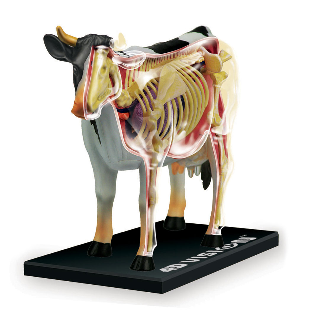 vaca armable 4d