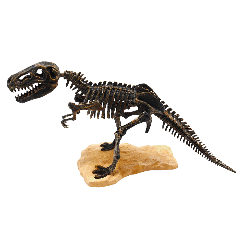 t rex